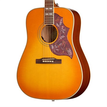 Epiphone 【数量限定エピフォン・アクセサリーパック・プレゼント