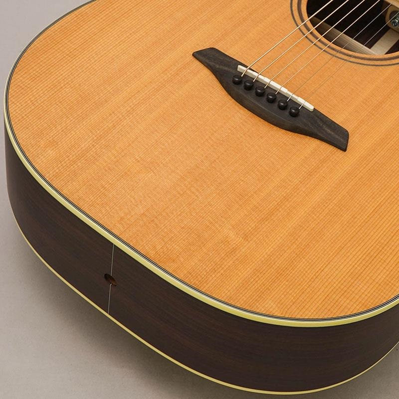 Furch 【新製品】Green OMc-TRa Narrow Nut (43mmネック) #139262