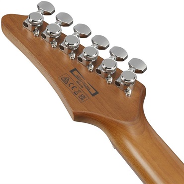 Ibanez 【7月15日入荷予定】 AZ Standard AZ22S2-BK (Black) [SPOT MODEL] 画像5