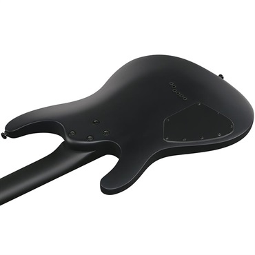 Ibanez 【7月15日入荷予定】 IRON LABEL S721RB-BKF (Black Flat) [SPOT MODEL] 画像3