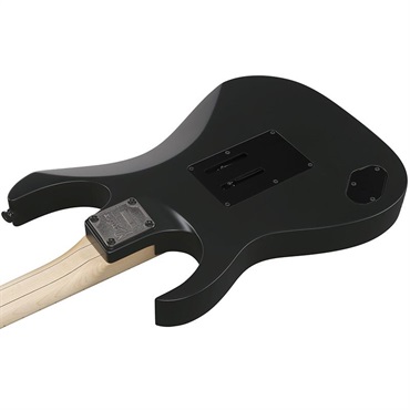 Ibanez 【7月17日入荷予定】 Genesis Collection RG550-BKF (Black Flat) [Limited Model] 画像3