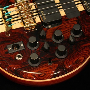 ALEMBIC SSB 4 / Series II (Coco Bolo Top & Back / Ebony Neck Laminates) 画像4