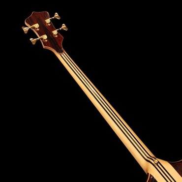 ALEMBIC SSB 4 / Series II (Coco Bolo Top & Back / Ebony Neck Laminates) 画像7