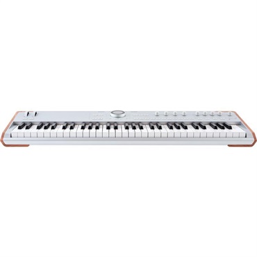Arturia AstroLab 61 Silver (Avant-garde Stage Keyboard) ASTROLAB 61 SL アートリア アストロラボ シルバー 画像2