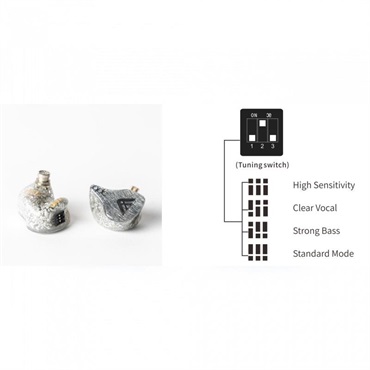 qdc Anole VX-S (イヤモニ)(キューディーシー)(有線イヤホン)(IEM)(BA