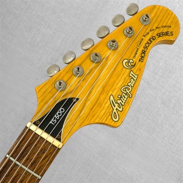 Aria ProII VINTAGE TS-500 Tri Sound '80 Natural 画像10