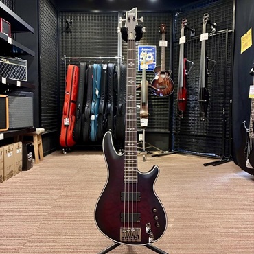 SCHECTER HELLRAISER EXTREME-4 [AD-HR-EX-BASS-4] (CRBS) 【特価