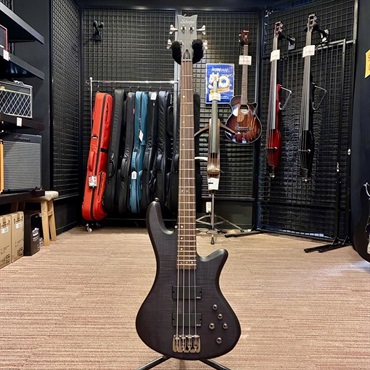 SCHECTER STILETTO STUDIO [AD-SL-ST4] (STBLS) 【特価】 【IKEBE BASS OUTLET オープン記念セール】 画像1