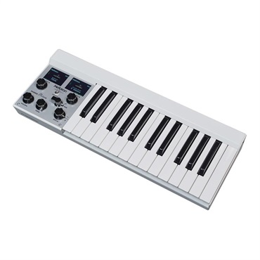 Mellotron M4000D Micro【Sound Card 02 プレゼントキャンペーン中】 (お取り寄せ・国内代理店直送商品) 画像3