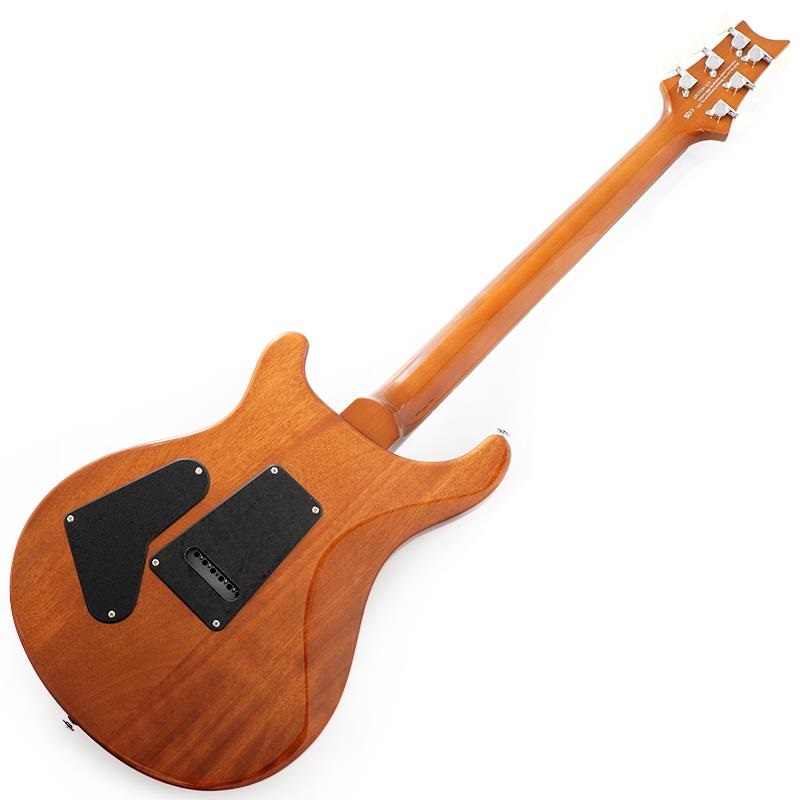 P.R.S. Ikebe Exclusive SE Custom 24 Spalted Veneer (Natural) SN