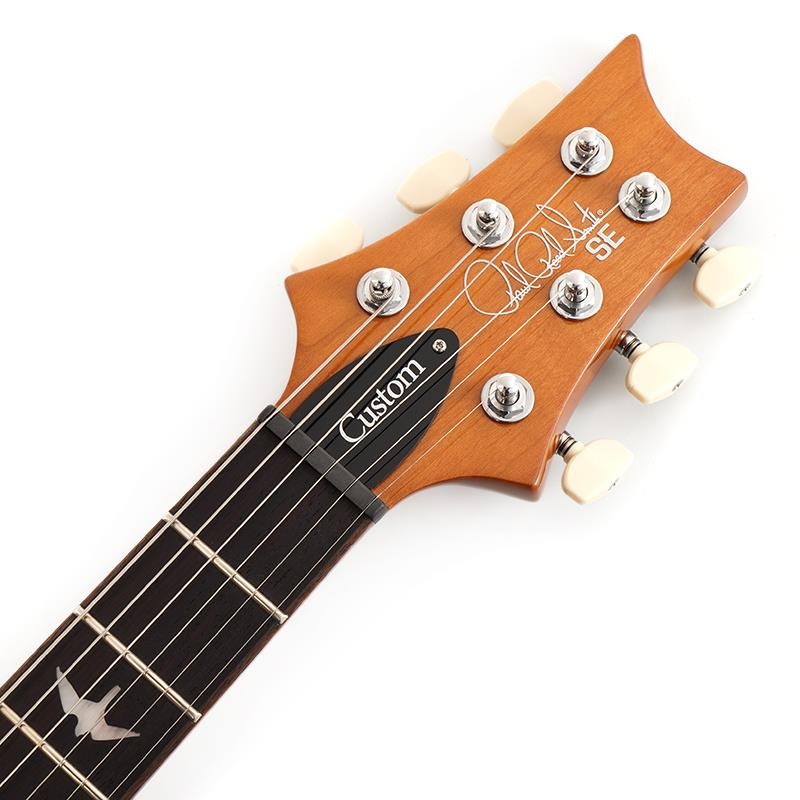 P.R.S. Ikebe Exclusive SE Custom 24 Spalted Veneer (Natural) SN