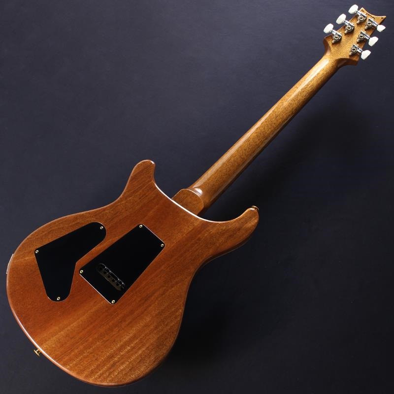 P.R.S. Custom 24 10 Top (Aurora Borealis) #0427086【2026年生産品