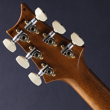 P.R.S. Custom 24 10 Top (Aurora Borealis) #0427086【2026年生産品】 画像6
