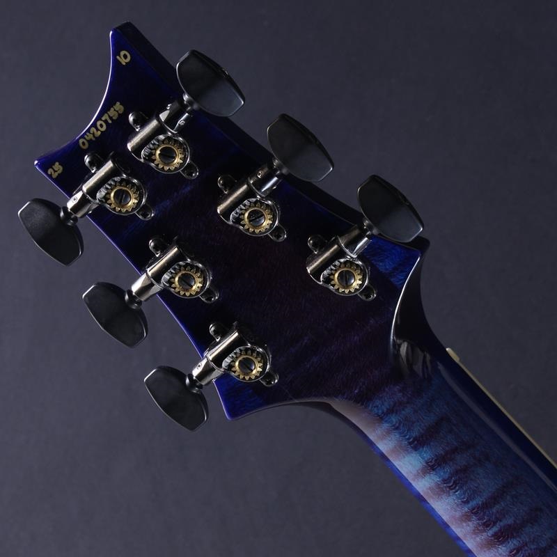 P.R.S. Wood Library McCarty 594 Semi-Hollow (Charcoal Purple Burst