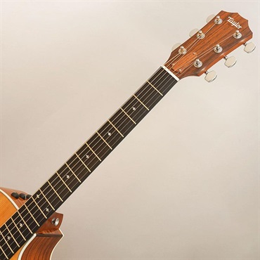 TAYLOR USED 中古 214ce DLX '13 テイラー 画像8