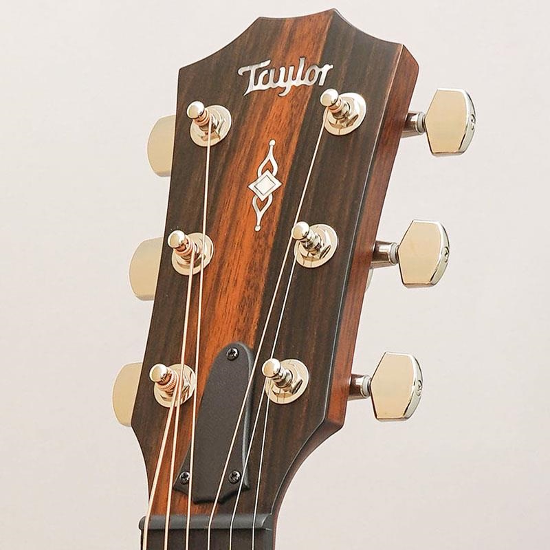 TAYLOR CTM 314ce Next Generation -Torrefied Sitka Spruce/Mahogany
