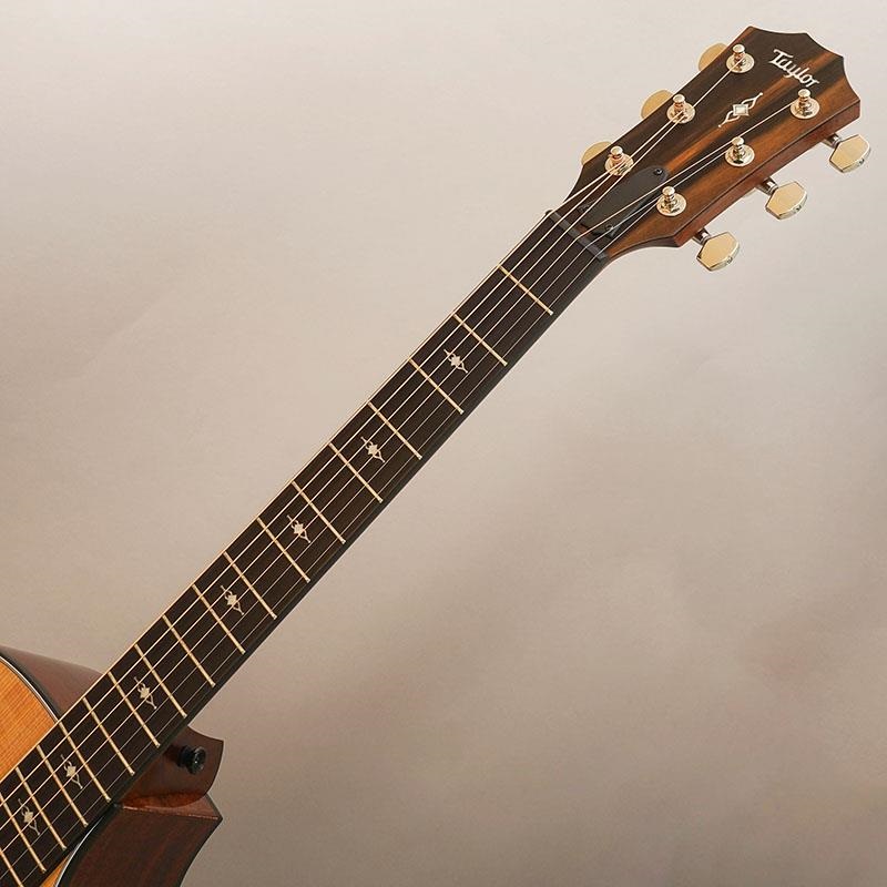 TAYLOR CTM 314ce Next Generation -Torrefied Sitka Spruce/Mahogany