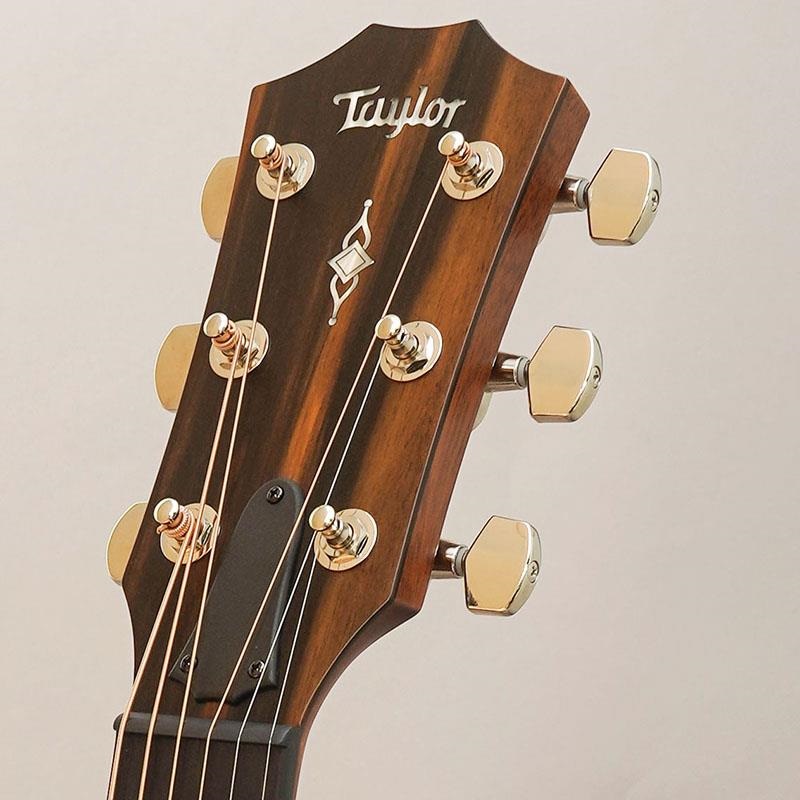 TAYLOR CTM 314ce Next Generation -Torrefied Sitka Spruce/Mahogany