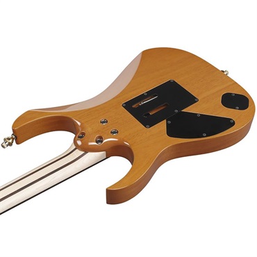 Ibanez 【7月23日入荷予定】 j.custom RG8570MH-NT (Natural) [Limited Model] 画像3