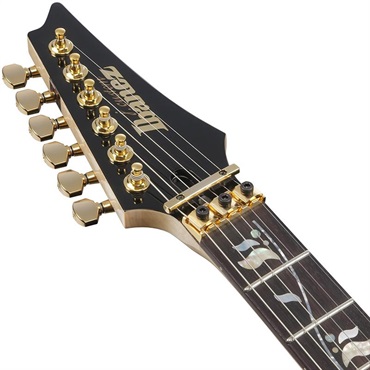 Ibanez 【7月23日入荷予定】 j.custom RG8570MH-NT (Natural) [Limited Model] 画像4