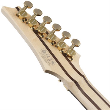 Ibanez 【7月23日入荷予定】 j.custom RG8570MH-NT (Natural) [Limited Model] 画像5