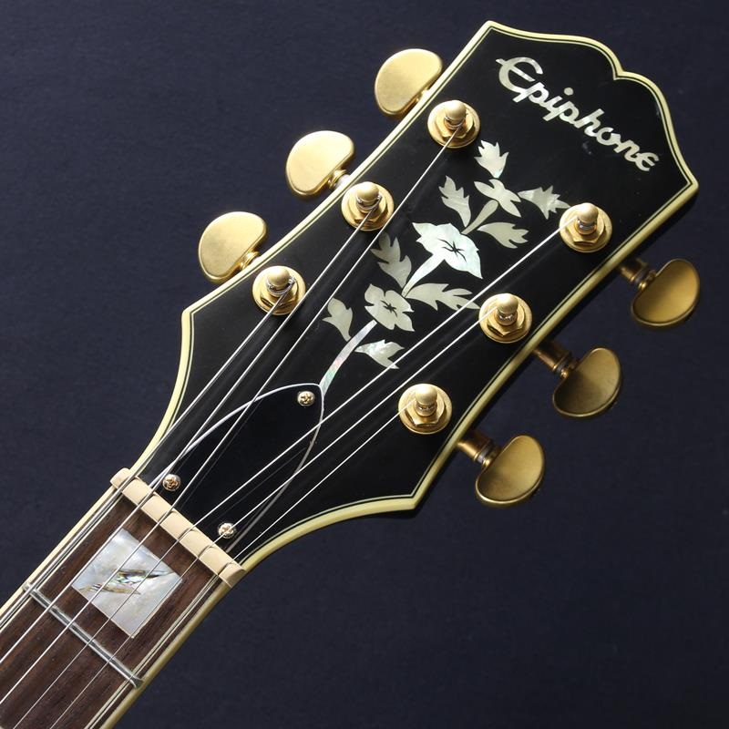 Epiphone USED 中古 Emily Wolfe Sheraton Stealth ｜イケベ楽器店