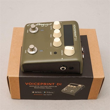L.R.Baggs USED 中古 Voice Print D.I. 画像2