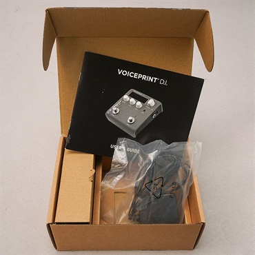 L.R.Baggs USED 中古 Voice Print D.I. 画像5