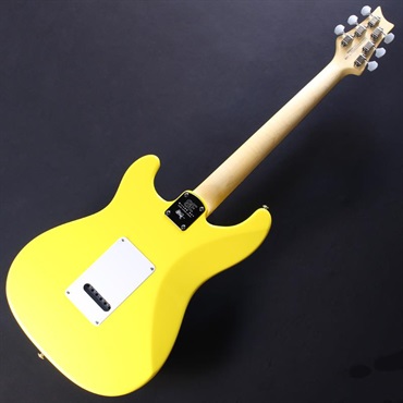 P.R.S. SE Silver Sky Rosewood (Dandy Lion) [John Mayer Model] #CTI H038809【2025年生産品】 画像5