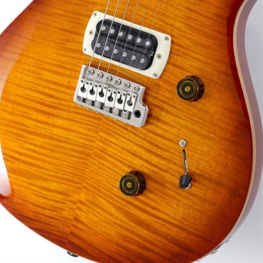 P.R.S. SE Custom 24 (Vintage Sunburst) SN.CTIH091955 【2025年生