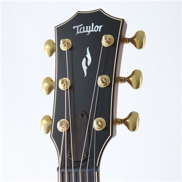 TAYLOR Next Generation Builder's Edition 814ce テイラー 画像6