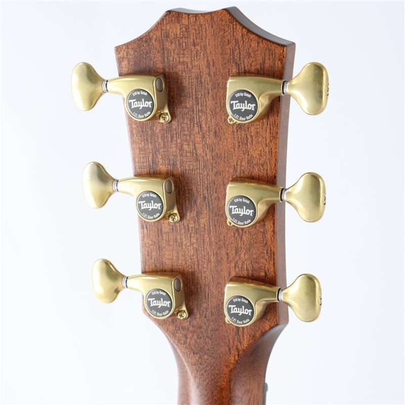 TAYLOR Next Generation Builder's Edition 814ce テイラー ｜イケベ