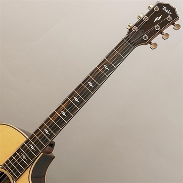 TAYLOR 【決算売り尽くしセール】【チョイキズ特価】814c テイラー 画像8