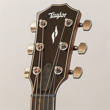 TAYLOR 【決算売り尽くしセール】【チョイキズ特価】814c テイラー 画像10