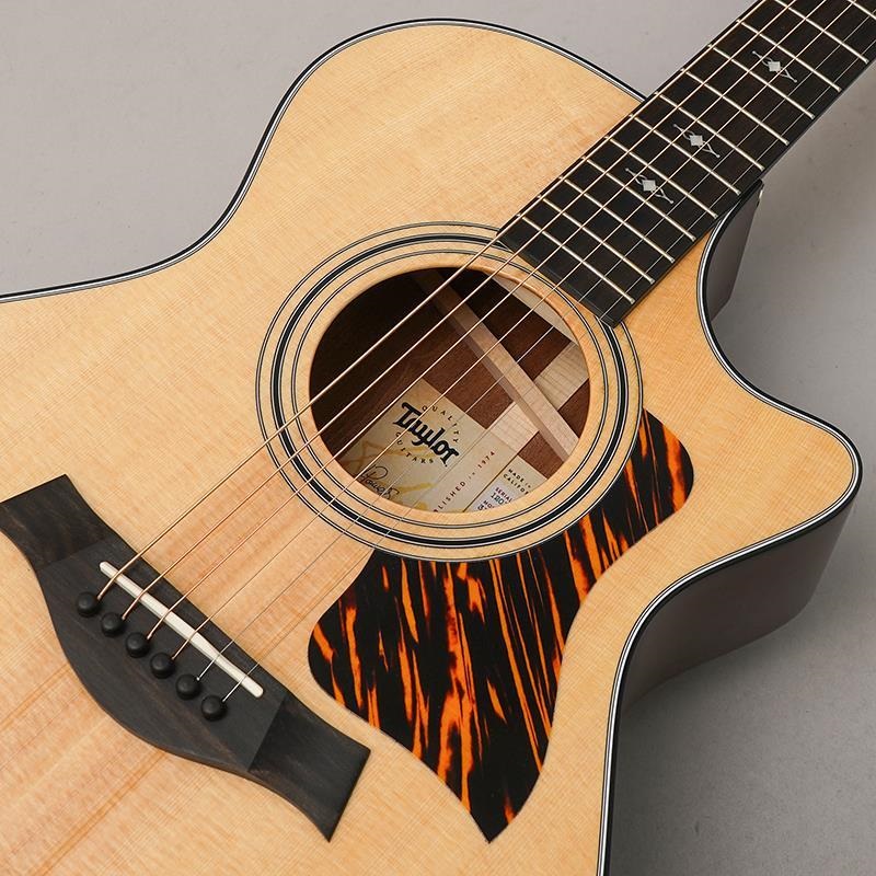 TAYLOR 【決算売り尽くしセール】【チョイキズ特価】312c テイラー