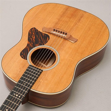 TAYLOR 【決算売り尽くしセール】【チョイキズ特価】Gold Label 517e テイラー 画像4