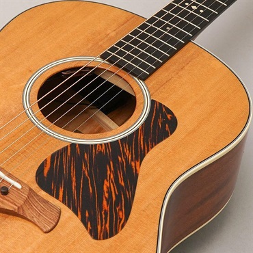 TAYLOR 【決算売り尽くしセール】【チョイキズ特価】Gold Label 517e テイラー 画像6