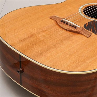 TAYLOR 【決算売り尽くしセール】【チョイキズ特価】Gold Label 517e テイラー 画像7