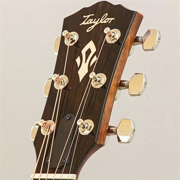 TAYLOR 【決算売り尽くしセール】【チョイキズ特価】Gold Label 517e テイラー 画像10