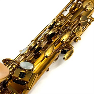 Selmer Paris USED 中古 アルトサックス H.セルマー リファレンス（Reference） S/N 810xx4【調整&セットアップ後出荷】【5年間キーバランス調整無料】 画像10