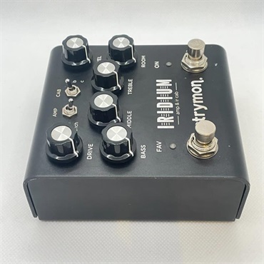 strymon USED 中古 IRIDIUM 画像3
