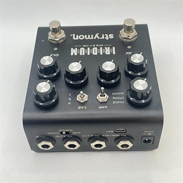 strymon USED 中古 IRIDIUM 画像4