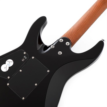 Charvel Pro-Mod Plus Dinky DK24 HH 2PT E (Raven Black/Ebony) 画像5