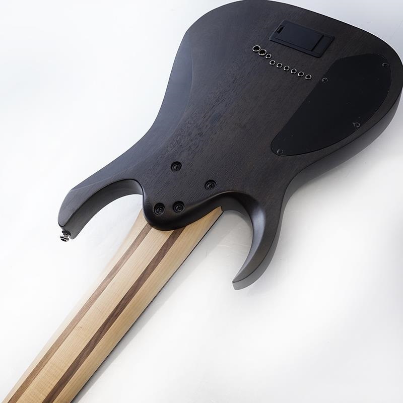 Ibanez Axe Design Lab RG9PB-TGF (Transparent Gray Flat) 【特価