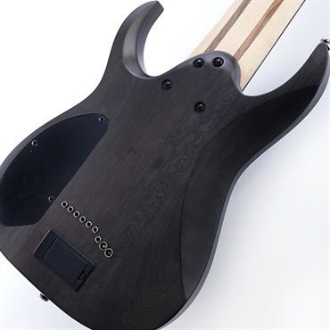 Ibanez Axe Design Lab RG9PB-TGF (Transparent Gray Flat) 【特価】 画像7