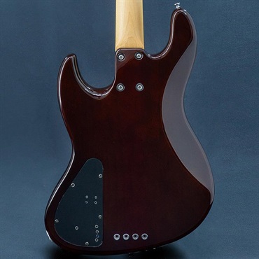 Xotic USED 中古 XJ-1T 4st 画像1