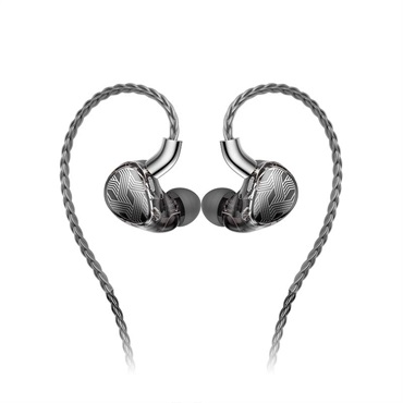 FiiO FA19 Black (ブラック)(フィーオ)(有線イヤホン)(イヤモニ)(IEM)(バランスドアーマチュア)(BA型)(10ドライバー)(ハイレゾ)(インイヤーモニター)(FIO-IEM-FA19-B) 画像2