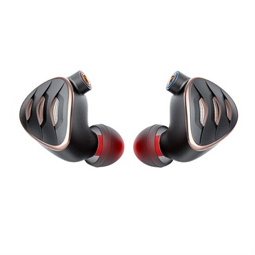 FiiO FiiO FH5s (フィーオ)(有線イヤホン)(イヤモニ)(IEM)(BA型)(バランスドアーマチュア)(4ドライバー)(セミオープン型)(インイヤーモニター)(FIO-IEM-FH5S-S) 画像2