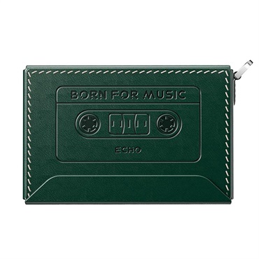 FiiO NEST-ECHO Green (グリーン)(フィーオ)(専用ケース)(Snowsky ECHO