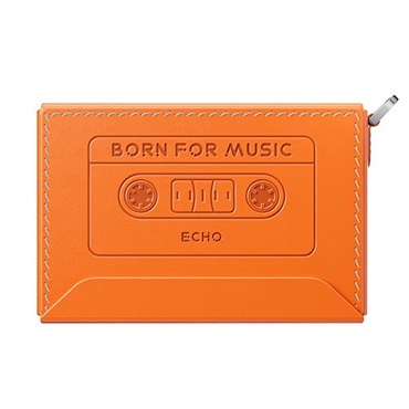 FiiO NEST-ECHO Orange (オレンジ)(フィーオ)(専用ケース)(Snowsky